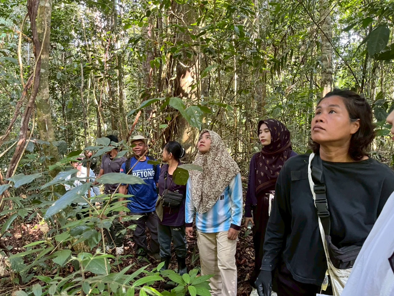 catalogs_file_202_12_1_130391.webp