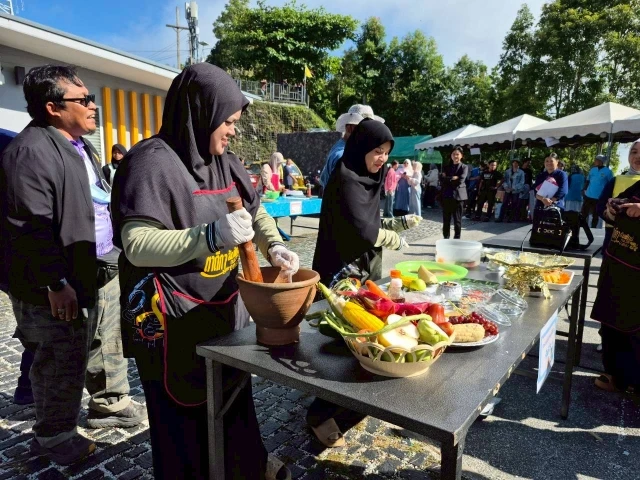 catalogs_file_102_56_10_665381.webp